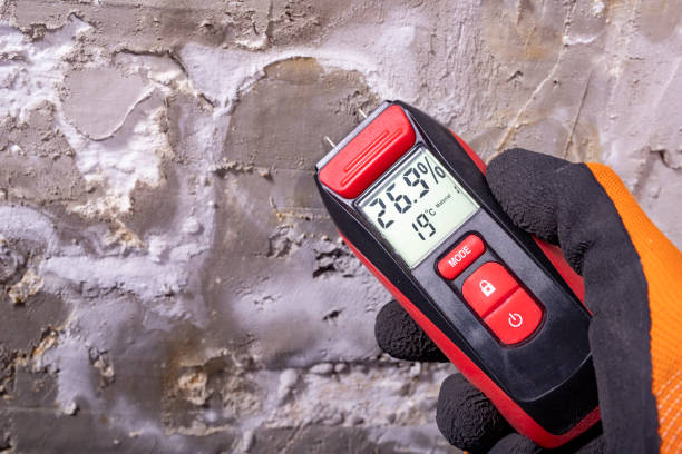 Best Mold Damage Repair  in Woodbury, NJ