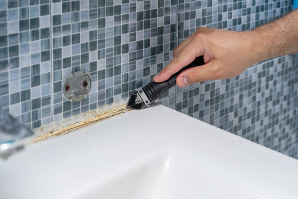 Best Professional Mold Removal  in Woodbury, NJ